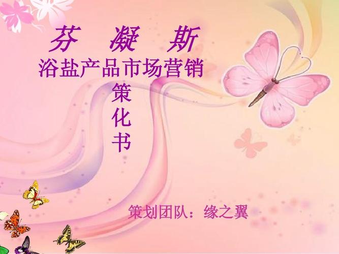 芬 凝 斯 浴盐产品市场营销 策 化 书 策划团队:缘之翼